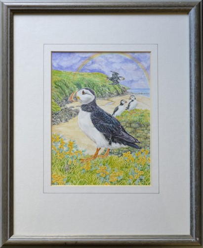 Rainbow Puffins