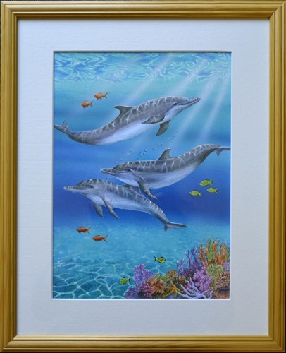 Dolphins